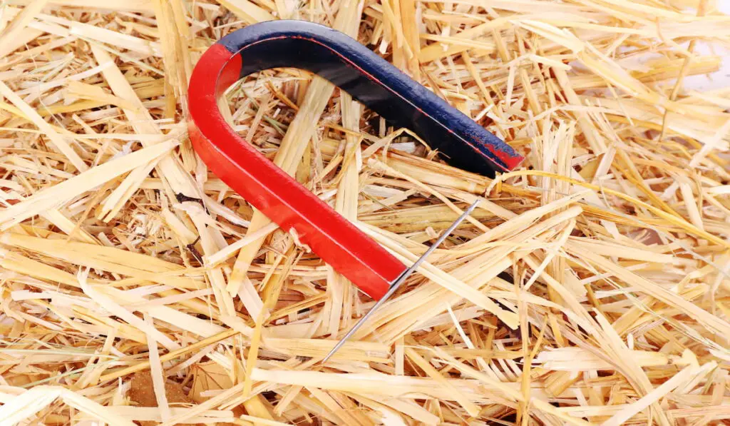 Magnet and needle on hay background