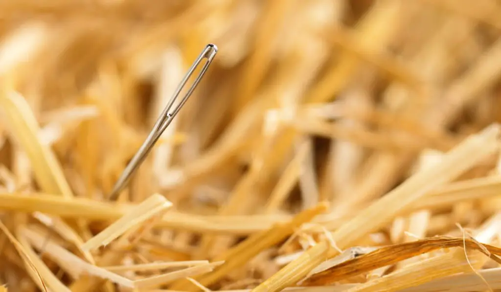 close up of a needle in haystack