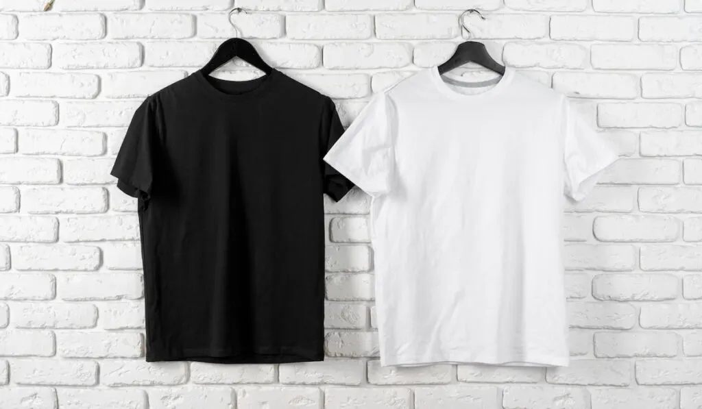Black and white color two plain t-shirts