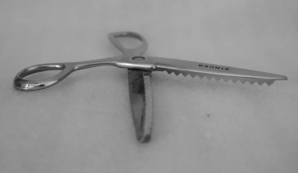 stainless steel pinking shears